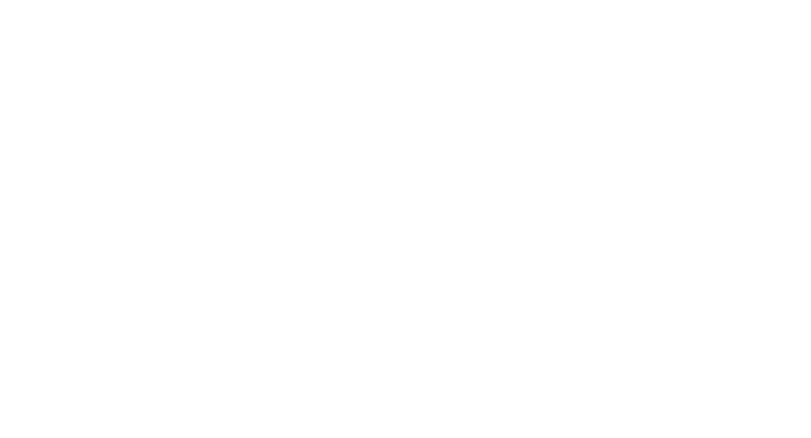Grupo Serma